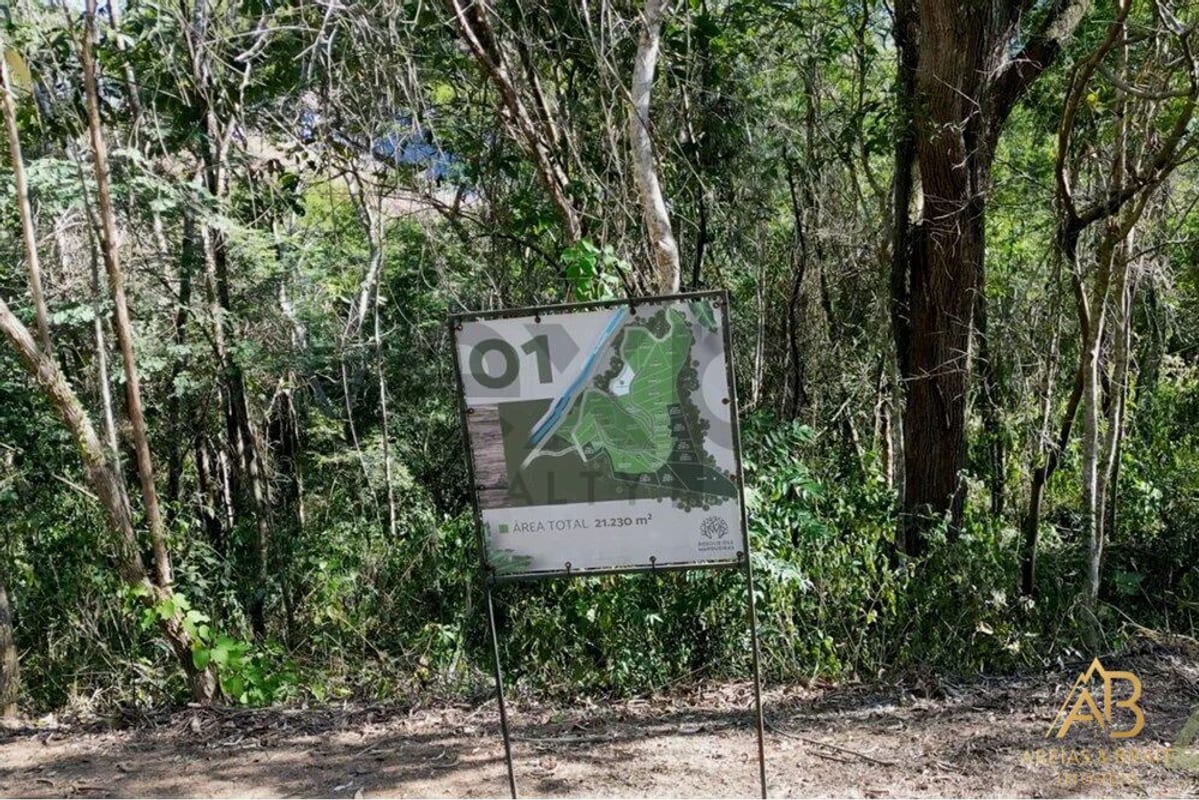 Terreno 21.230 m² em Condomínio à Venda em Pedro do Rio